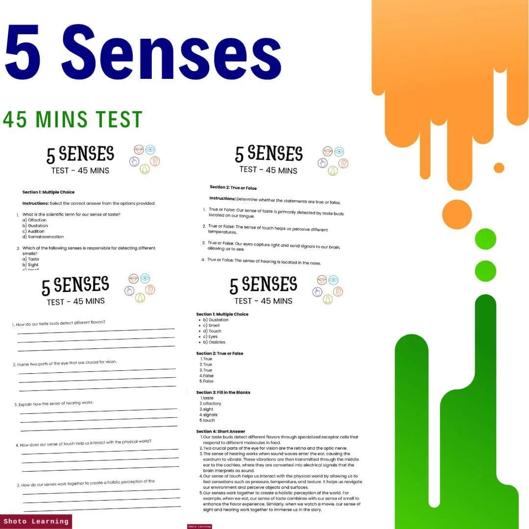 5+Senses+Title.jpg